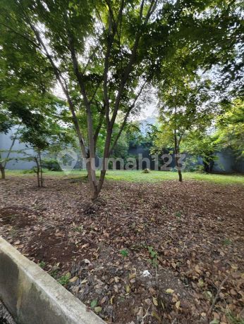 Kavling Pinisi Pik Termurah Luas 544M Cluster Private di Tengah Pik