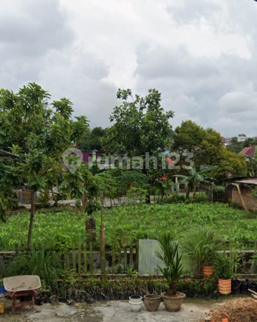 Tanah di Papan Lestari Tanah di Papan Lestari