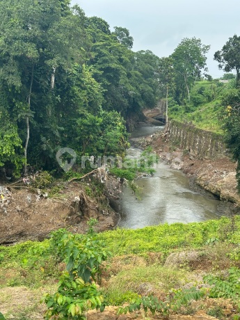 Tanah Murah Dekat Pantai Kedungu View Sungai Hutan Tanah Murah Dekat Pantai Kedungu View Sungai Hutan