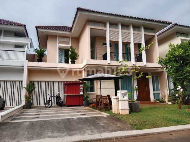 Sutera Pelangii 240 6M