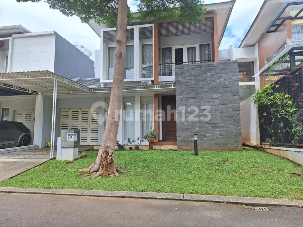 Sutera Orlanda Pelangi 6M