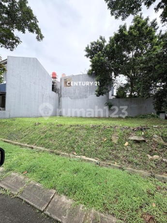 Premium Cluster Plot Ready to Build Dm 17858