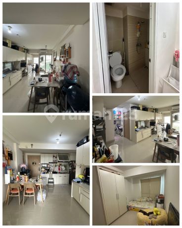 Apartment pardise mansion