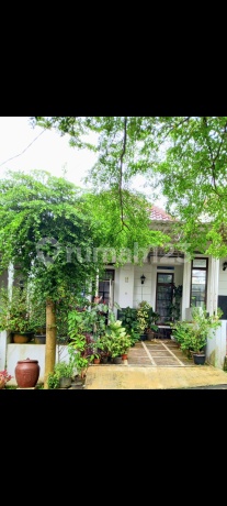 Rumah Siap Huni Sangat Strategis Rumah Siap Huni Sangat Strategis