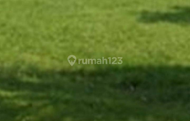 Disewakan Kavling Puri Sentra Raya Citraland Dekat Indomart Surabaya