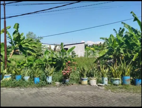 Tanah SHM Perumahan Griya Kartika, Buncitan Sedati Sidoarjo Tanah SHM Perumahan Griya Kartika, Buncitan Sedati Sidoarjo