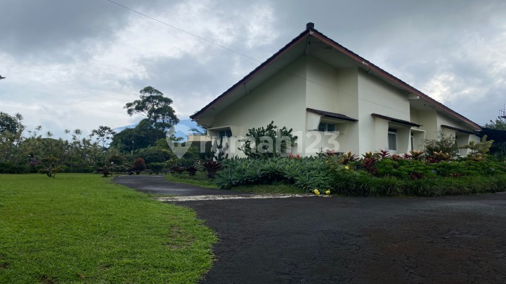 Villa Terawat Murah Di Bawah Njop Hook Di Coolibah Puncak Villa Terawat Murah Di Bawah Njop Hook Di Coolibah Puncak