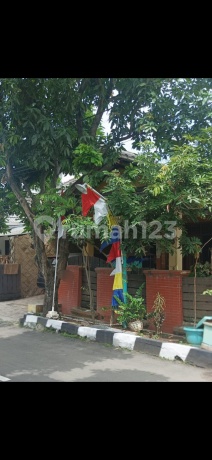 Rumah Cantik di Jl Plamongan Peni Pedurungan Plamongansari Semarang Rumah Cantik di Jl Plamongan Peni Pedurungan Plamongansari Semarang