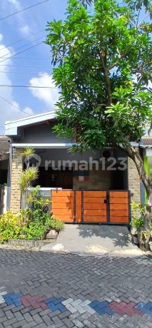 Rumah Siap Huni Di Aryamukti Pedurungan Semarang Rumah Siap Huni Di Aryamukti Pedurungan Semarang