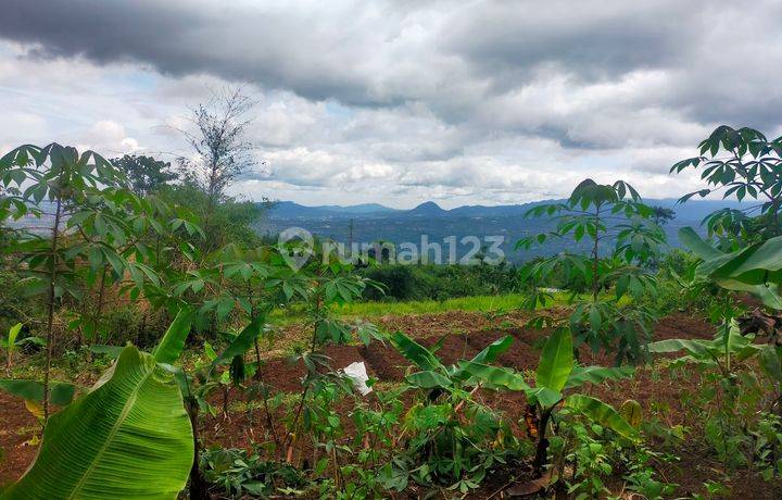 Tanah Rata View Lepas Ke Gunung Gede Untuk Villa+Glamping 