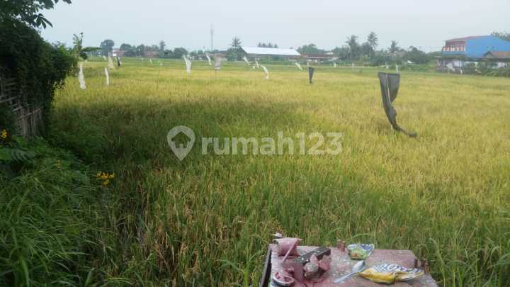 Tanah Perumnas Cibeber Nego Sampai Deal Tanah Perumnas Cibeber Nego Sampai Deal