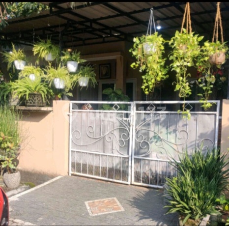 Rumah dengan Taman Hijau Suasana Asri dan Nyaman di Gading Kirana Estate Sidoarjo