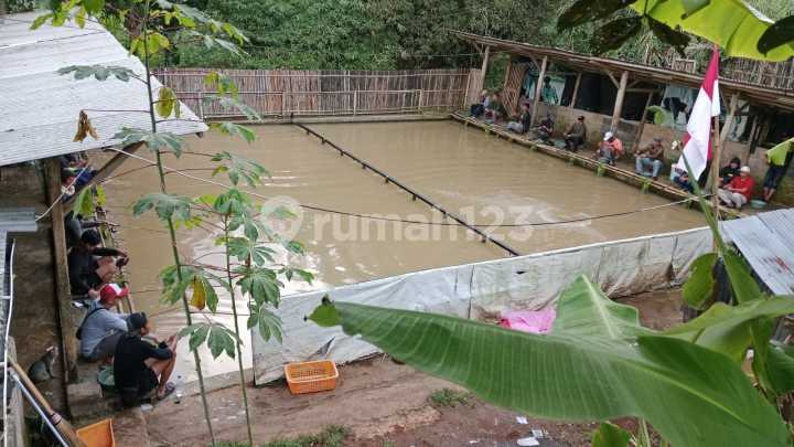 Tanah Kolam Pemancingan Murah Bagus Dijual Di Cimenyan Padasuka Bandung