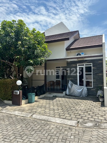 Dijual Rumah Bagus Bukit Elang Residence Mangunharjo Tembalang Dijual Rumah Bagus Bukit Elang Residence Mangunharjo Tembalang