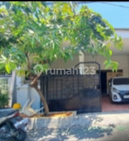 Dijual Rumah Siap Huni di Griyo Mapan Sentosa Dijual Rumah Siap Huni di Griyo Mapan Sentosa