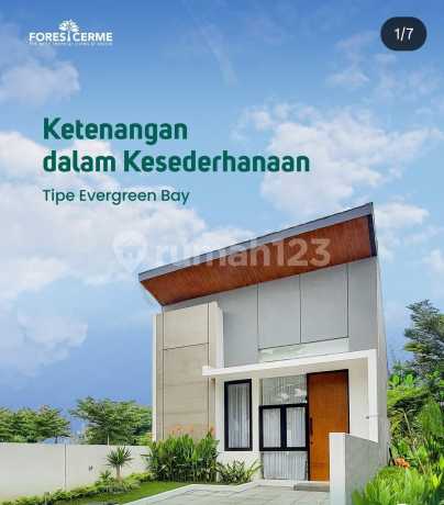 Forest Cerme Evergreen Bay 