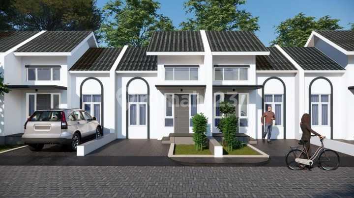 Forest Cerme Oasis Canary Forest Cerme Oasis Canary