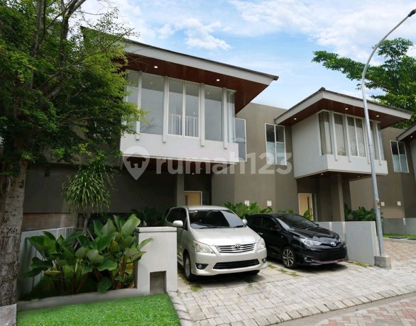 Forest Cerme Evergreen Valley