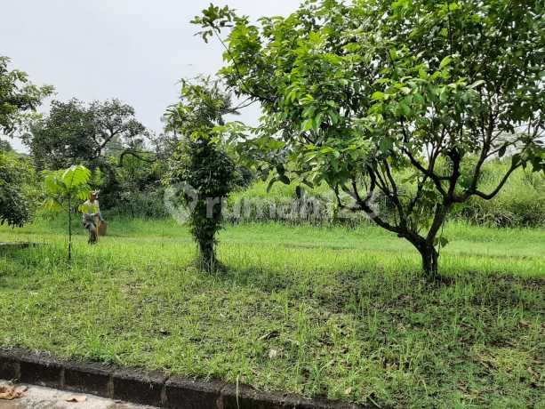 Kavling Bogor Rumah Pandan Valley, 345M2 Strategis, Pusat Kota Kavling Bogor Rumah Pandan Valley, 345M2 Strategis, Pusat Kota