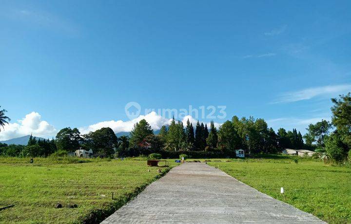  Tanah Dijual Di Jln Munjul Sukamanah Megamendung Puncak
