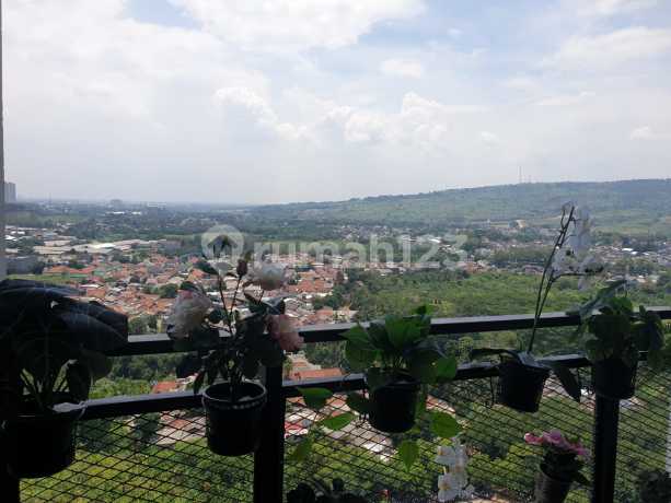 Disewakan Apartemen Saffron 2 Br