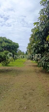 Dijual Kavling Jl Raya Aria Jaya Santika 3raksa Dijual Kavling Jl Raya Aria Jaya Santika 3raksa