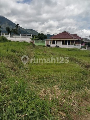 Land Ready to Build, Width 88M, Suitable for Plantation Land, Villa, Investment, Near Tourist Attractions in Ciwidey. Land Ready to Build, Width 88M, Suitable for Plantation Land, Villa, Investment, Near Tourist Attractions in Ciwidey.