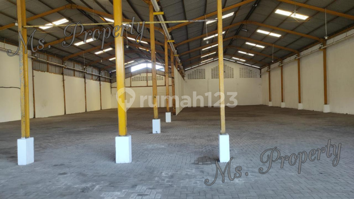 Gudang Strategis Kompleks Gudang Suri Mulia Surabaya Msp0063 Gudang Strategis Kompleks Gudang Suri Mulia Surabaya Msp0063