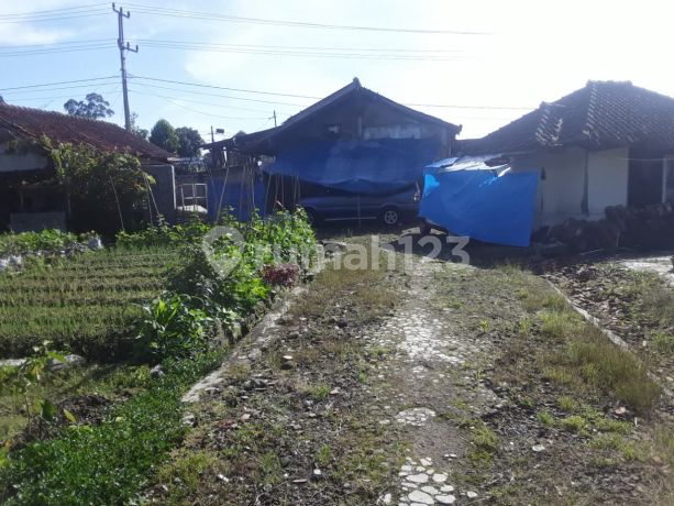 Tanah Perkebunan 3250m² SHM Di Daerah Ciwidey Tanah Perkebunan 3250m² SHM Di Daerah Ciwidey