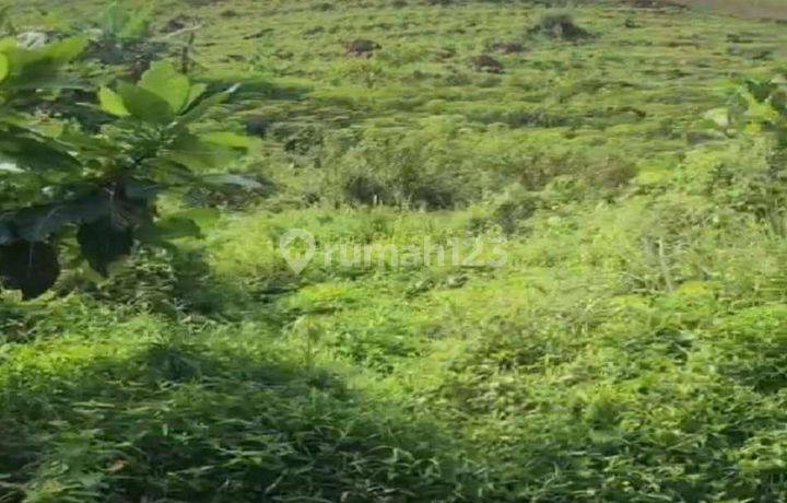 Tanah 100 Ha Belakang Permata Sentul Golf