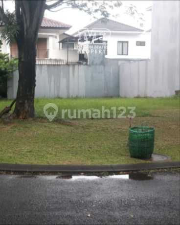 Quick Sale - Anthea BSD Hook Cluster Lot