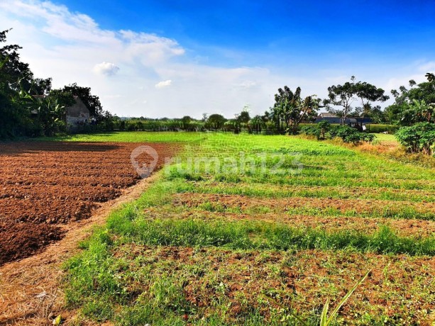 Dijual Lahan Pinggir Jalan Raya Babelan, Bekasi (momhi) Dijual Lahan Pinggir Jalan Raya Babelan, Bekasi (momhi)