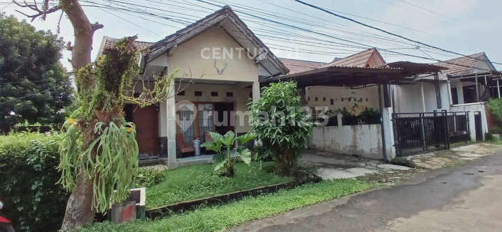 Rumah Strategis Siap Huni di Cimanggu Permai Tanah Sareal Bogor Rumah Strategis Siap Huni di Cimanggu Permai Tanah Sareal Bogor