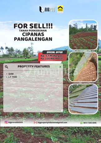 Tanah Perkebunan Pangalengan Siap Pakai Tanah Perkebunan Pangalengan Siap Pakai