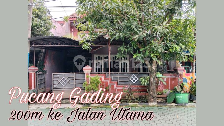 Rumah 200m Ke Pucang Gading Raya, Siap Pakai