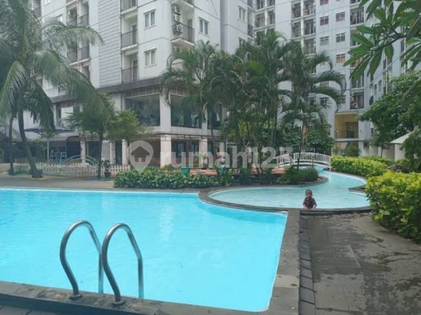 Dijual Termurah Apartemen Paragon Village 2 Br Hoek Di Karawaci