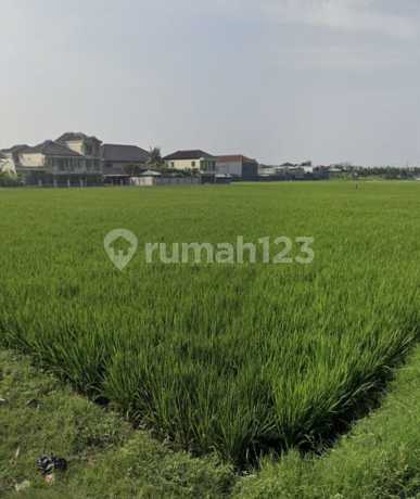 For Sale: Paddy Field Land, Cheap, Installment / Collaboration Possible, Flood-Free, Suitable for Housing Investment in Riung Bandung.