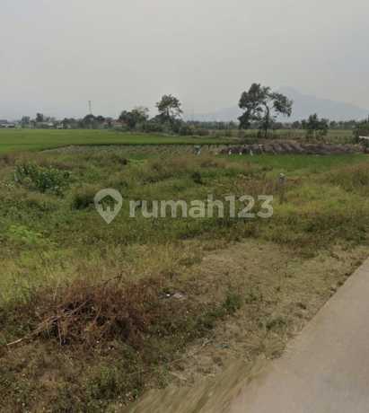 Dijual Tanah Murah, Lokasi Strategis Kawasan Berkembang, Cck U/ Invest, Kebun Di Rancaekek Dkt Grand Riscon Dijual Tanah Murah, Lokasi Strategis Kawasan Berkembang, Cck U/ Invest, Kebun Di Rancaekek Dkt Grand Riscon