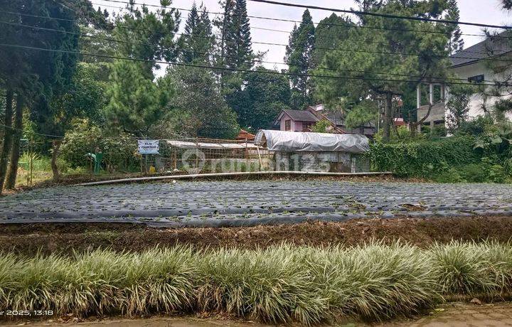 Kavling Di Villa Istana Bunga Lembang