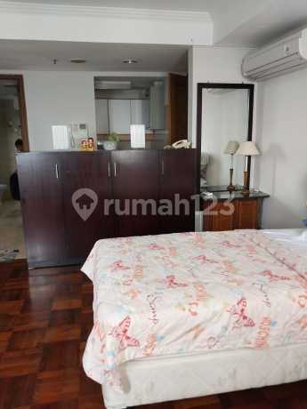 Disewakan Apartment 1 BR Bagus Furnished Park Royal Bendungan Hilir Disewakan Apartment 1 BR Bagus Furnished Park Royal Bendungan Hilir