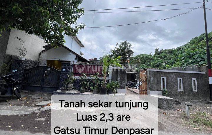 Tanah Jalan Sekar Tunjung Kesiman Denpasar Bali