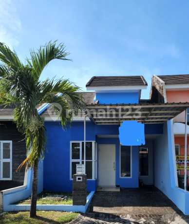 The Diva Green Hill The Diva Green Hill