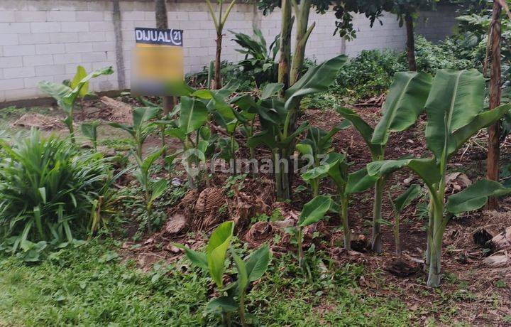 Tanah Kavling Harga Miring Gelatik Tegal Padang