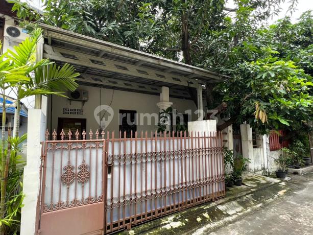 Dijual Rumah di Sunter Murah Harga NJOP