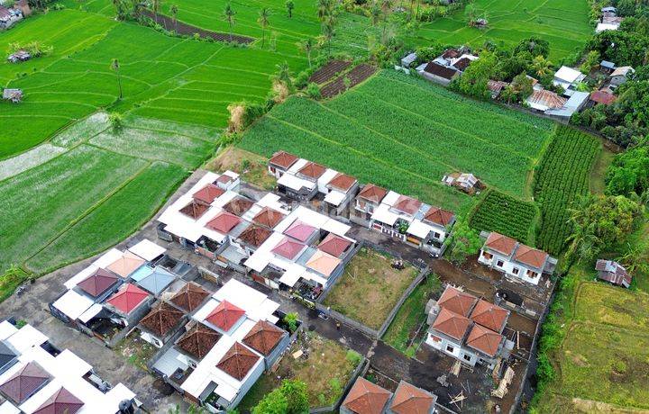 Dijual Tanah Kavling di Kawasan Bagus Desa Panji Bangah