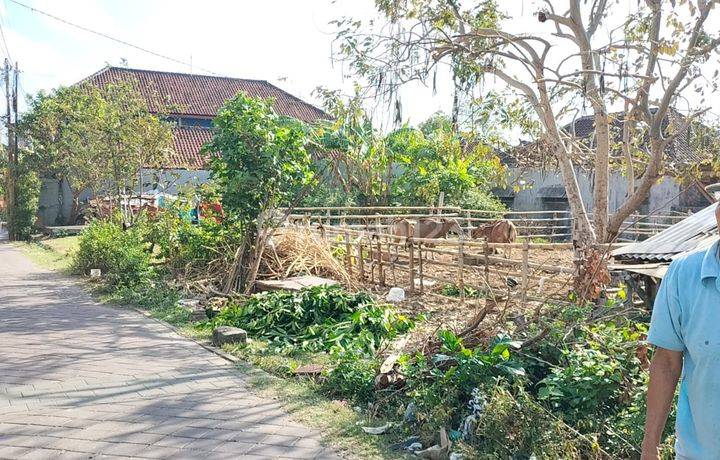 Tanah 5 Are Lingkungan Perumahan Dekat Unud Jimbaran  Tanah di Jalan Bumi Jimbaran Asri, Jimbaran SHM - Sertifikat Hak Milik 500 Squaremeter