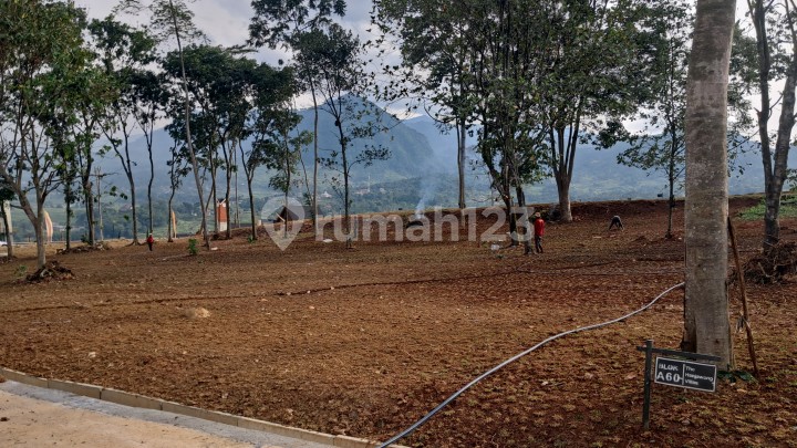 Dijual Tanah Untuk Villa Berkebun Lokasi Di Bogor 