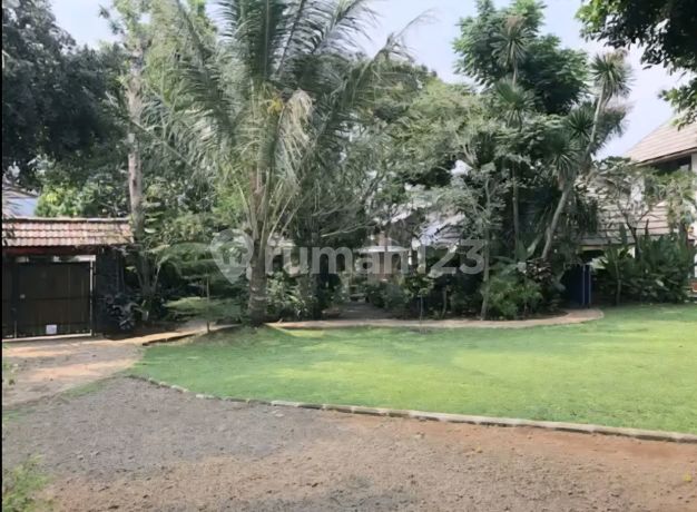Rumah Kebun Asri Di Bukit Cirendeu - Suasana Tenang & Nyaman Rumah Kebun Asri Di Bukit Cirendeu - Suasana Tenang & Nyaman