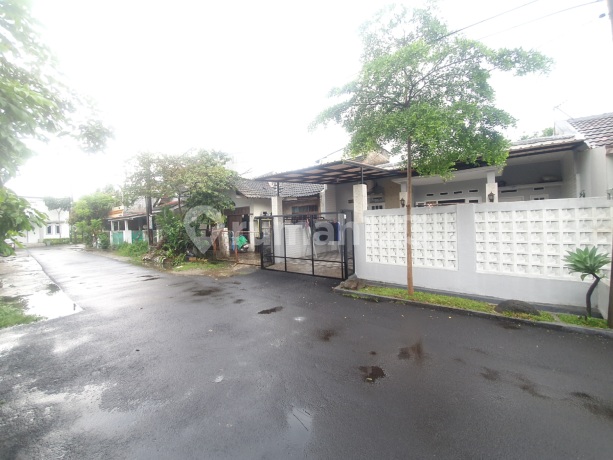 Rumah Cantik Minimalis Di Ciomas Permai Hanya 550jt Nego