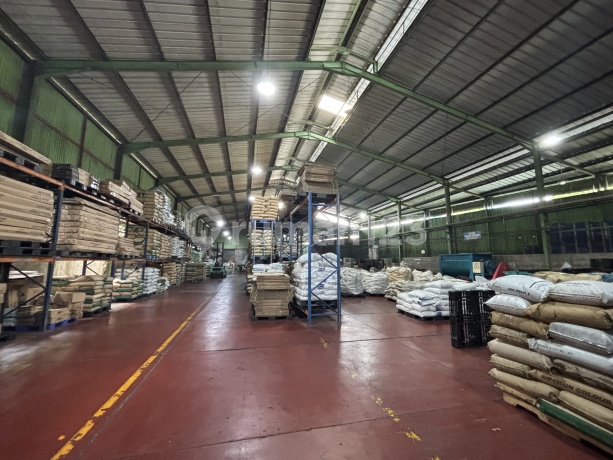 Di Jual Pabrik Atau Gudang Siap Huni Lokasi Strategis Cibinong Bogor Di Jual Pabrik Atau Gudang Siap Huni Lokasi Strategis Cibinong Bogor